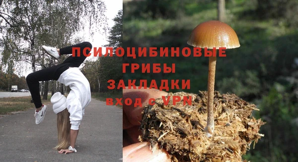 трава Балабаново